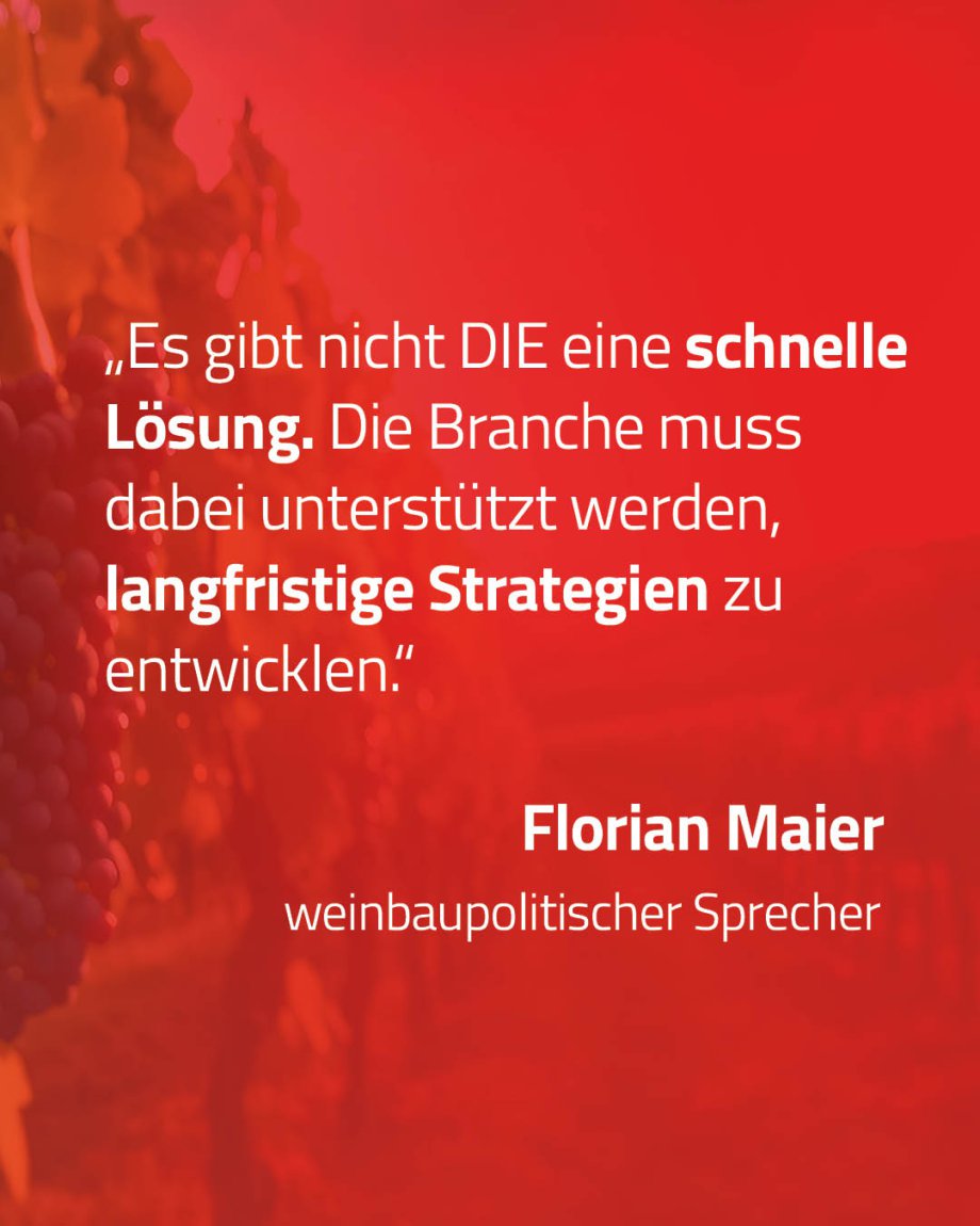 Weinbau32.jpg