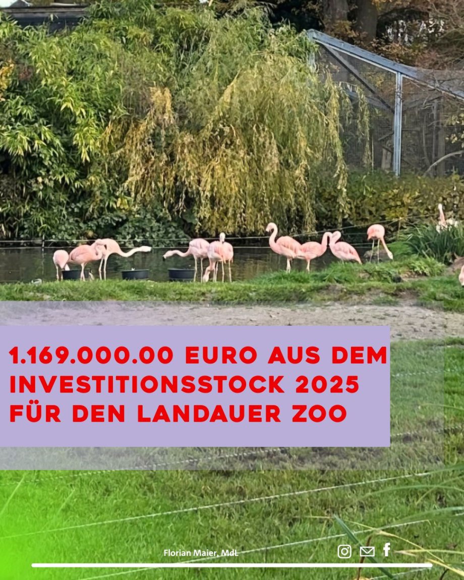 Förderung Flamingoanlage Zoo.jpg